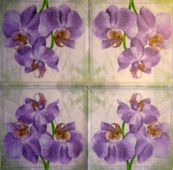 094 Orchids - 3 ply
